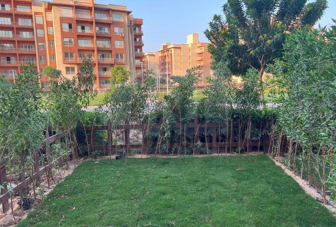 8114369 - Property Image 2