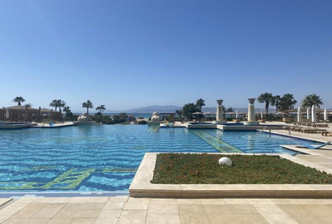 8496462 - Property Image 2