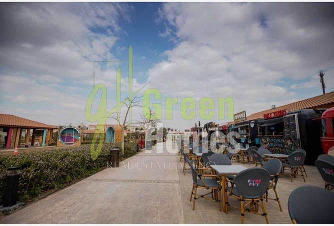 8271097 - Property Image 3