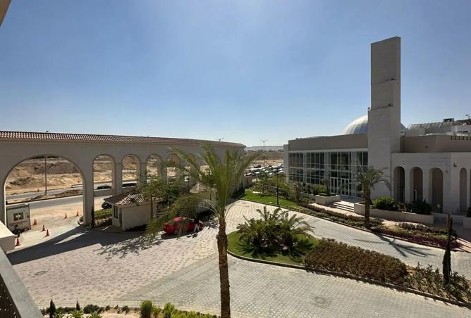 8169484 - Property Image 3