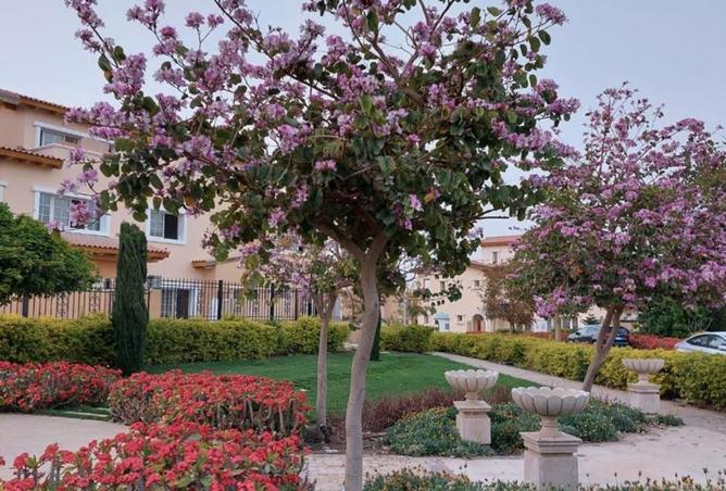 8256553 - Property Image 3