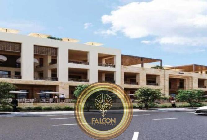 8151235 - Property Image 3