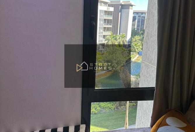 8448882 - Property Image 3