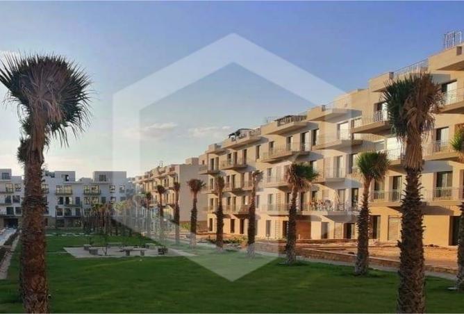 7981074 - Property Image 3