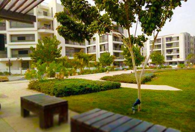 8512031 - Property Image 2