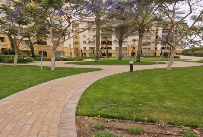 8356686 - Property Image 3