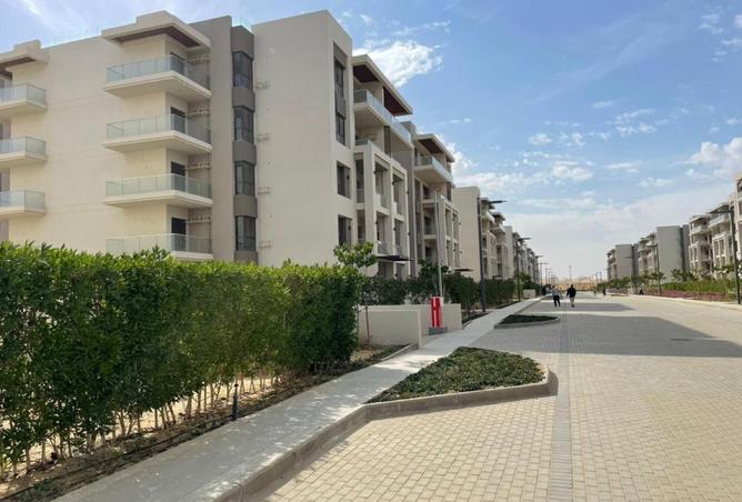 8274623 - Property Image 3