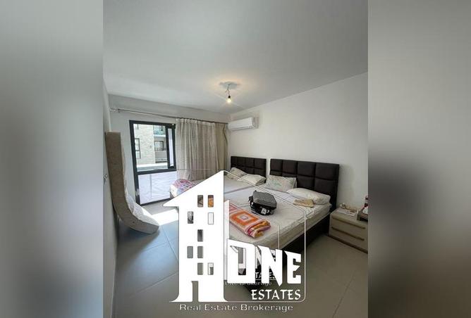 8126089 - Property Image 3