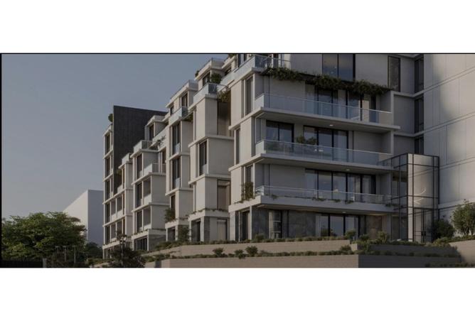 7980287 - Property Image 3