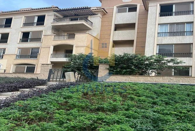 7809835 - Property Image 3