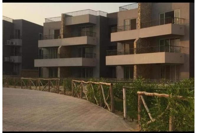 8425802 - صورة العقار 3