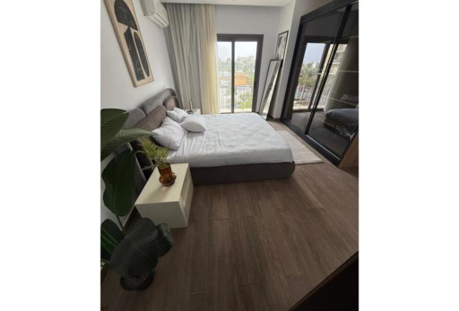 8383878 - Property Image 3