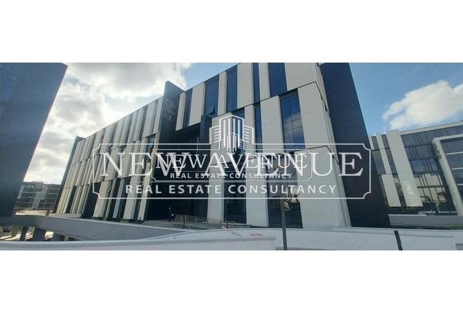 8386921 - Property Image 3