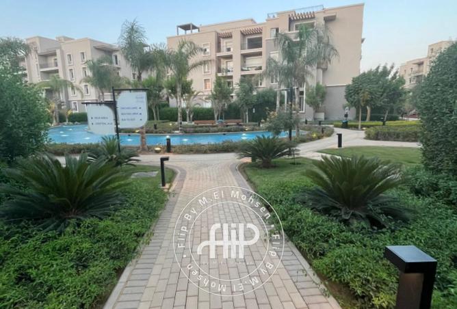 8002839 - صورة العقار 3