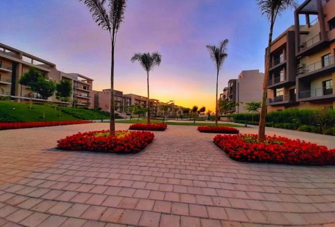 8432257 - Property Image 3