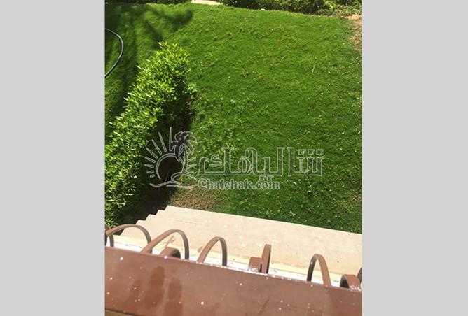 8211236 - Property Image 3