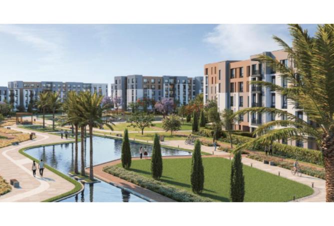 8137334 - Property Image 2