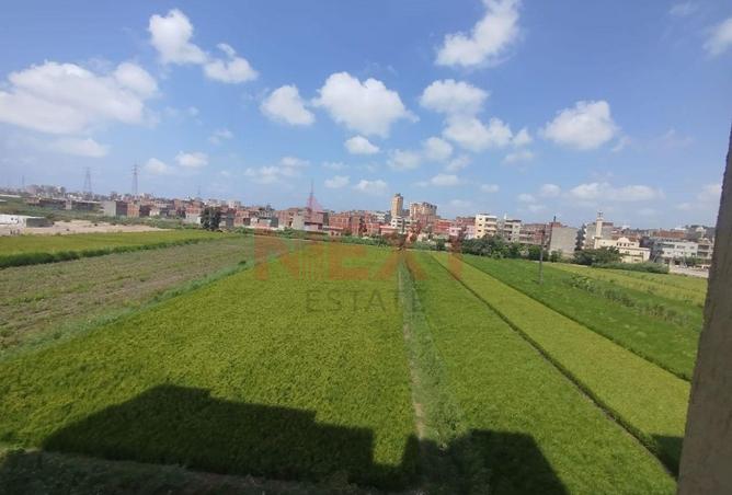 8295594 - صورة العقار 2