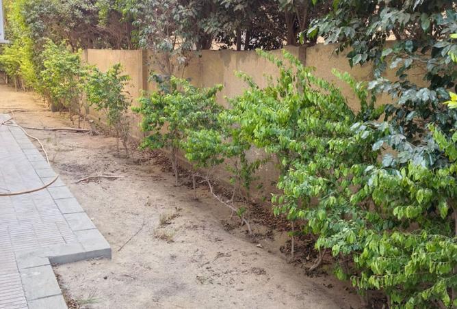 8517661 - صورة العقار 3