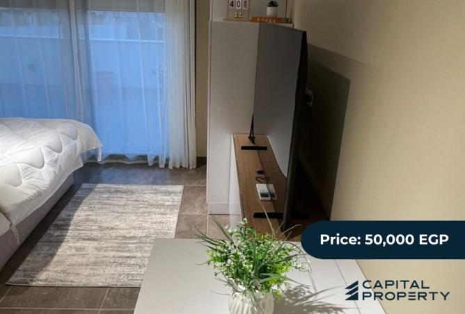 7997975 - Property Image 2