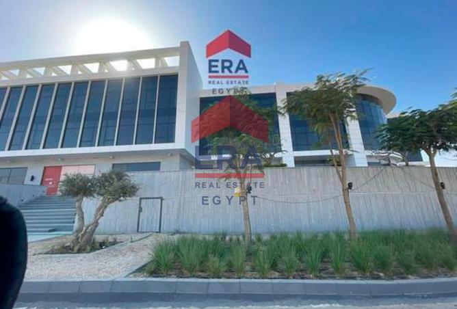 7761499 - صورة العقار 3