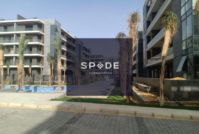 8375400 - Property Image 3