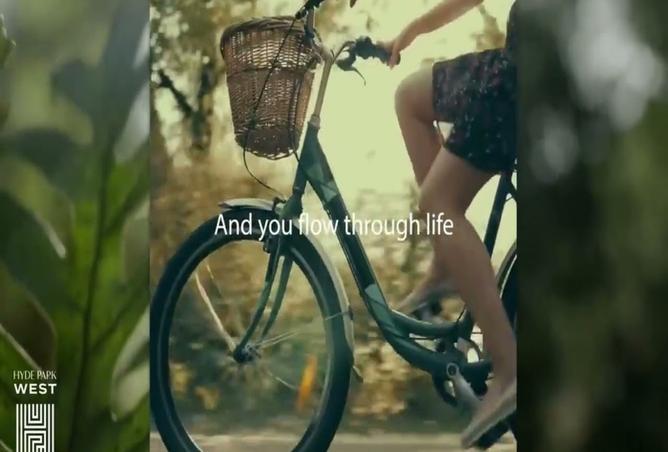 8179257 - Property Image 3