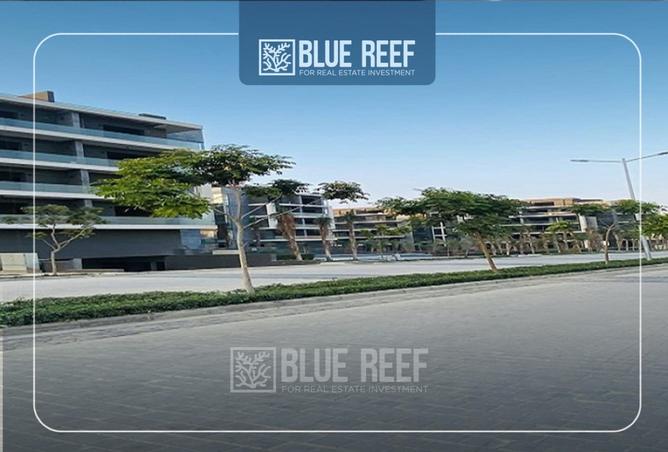 8537877 - Property Image 3