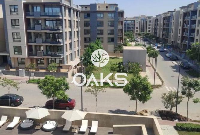 8455525 - Property Image 3