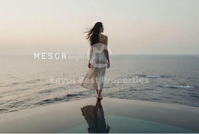 7916862 - Property Main Image