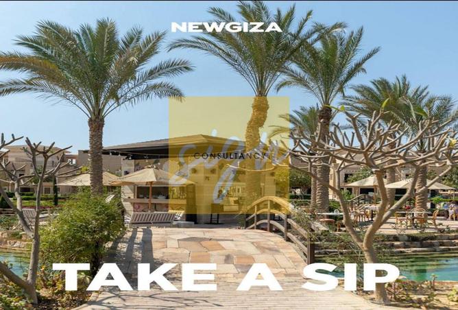 8482843 - Property Image 2