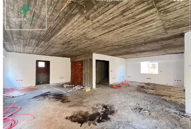 8186256 - Property Image 2