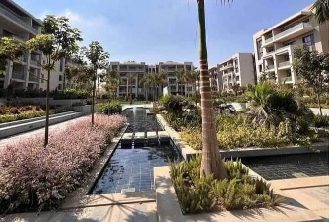 8241171 - Property Image 3