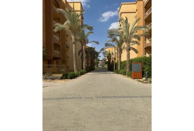8047731 - Property Main Image