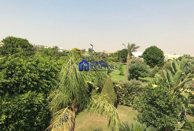8099471 - Property Image 2