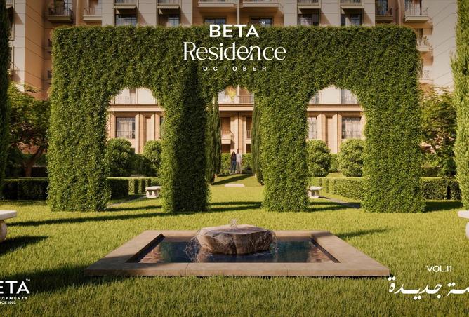 8205910 - Property Image 3