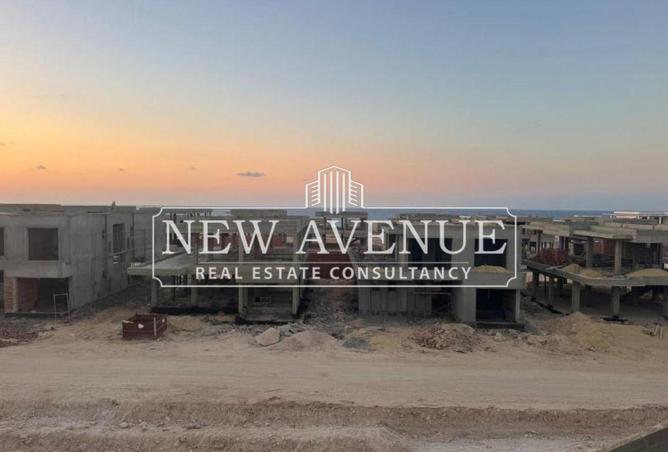 8334286 - Property Image 3