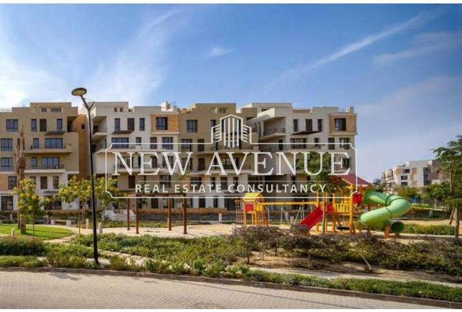 8271079 - Property Image 3