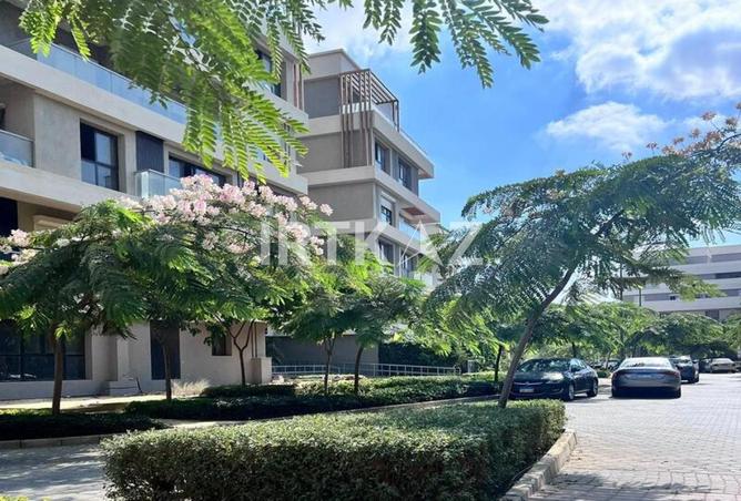 8437709 - Property Image 3