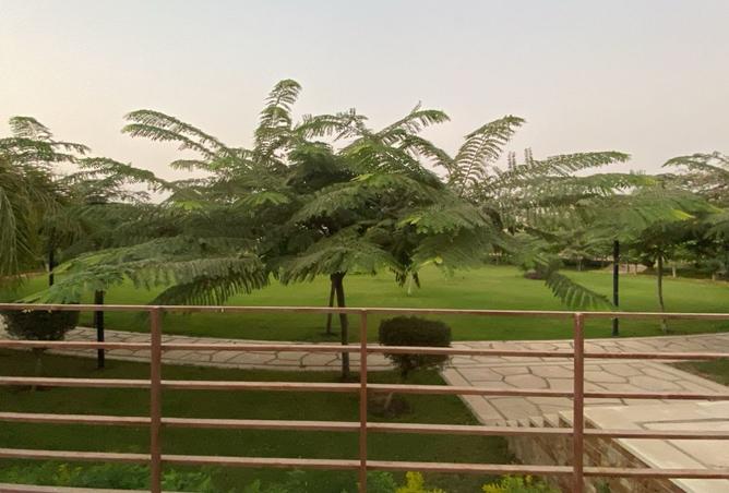 8240389 - صورة العقار 2