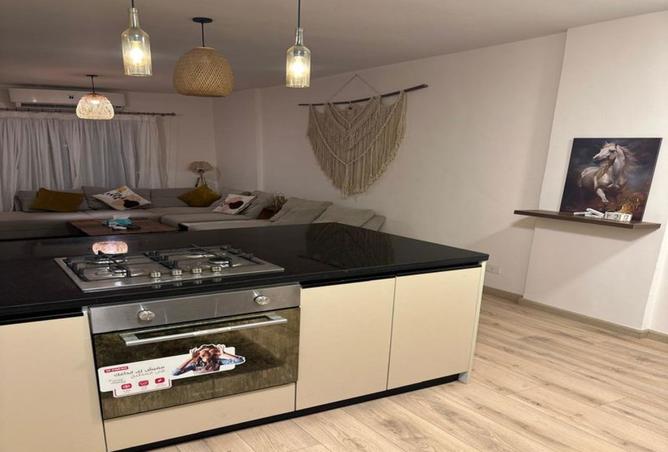 8074307 - Property Image 3