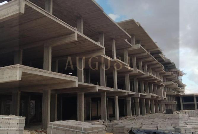 8393407 - صورة العقار 3