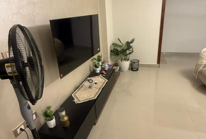 8132222 - Property Image 3