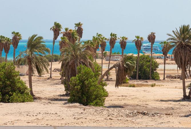 8252444 - صورة العقار 3