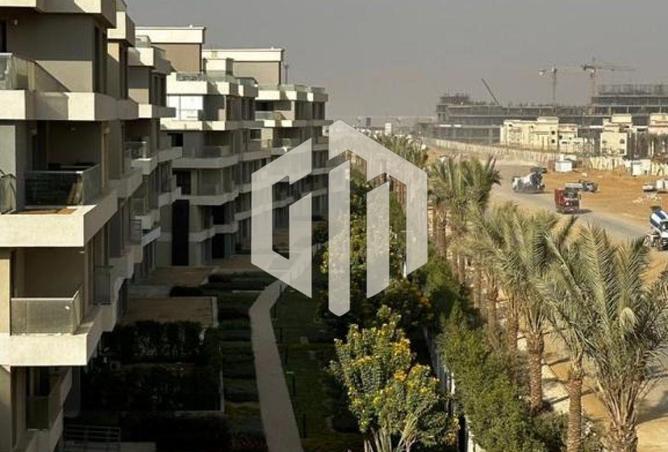 8206581 - Property Image 2