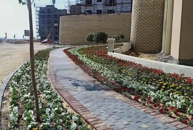 8547067 - صورة العقار 3