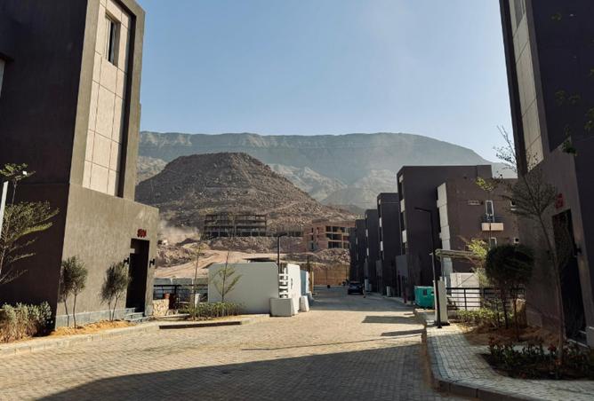 8173382 - Property Image 3