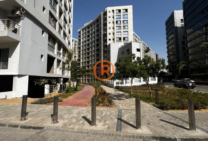 8301311 - Property Image 3