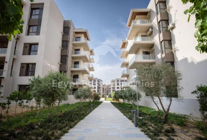 8229019 - Property Image 2