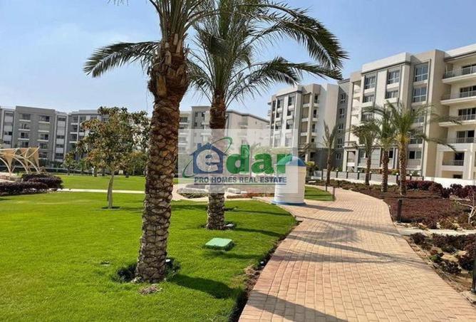 8441780 - Property Image 3